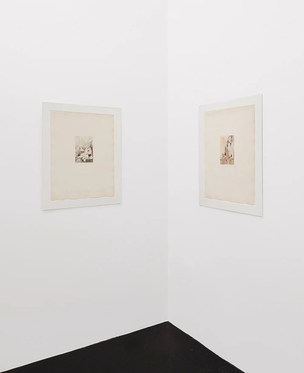 The Adroit Princess curated by Jelena Kristic exhibition design Mathias Poledna — Marie Laurencin — Exhibitions — Galerie Buchholz — Image 20