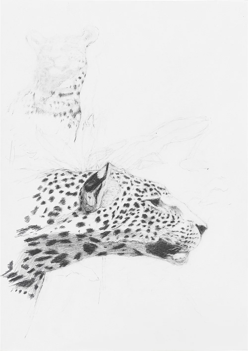 LostCoveTiki — Caleb Considine — Exhibitions — Galerie Buchholz — Image 05