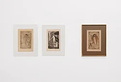 The Adroit Princess curated by Jelena Kristic exhibition design Mathias Poledna — Marie Laurencin — Exhibitions — Galerie Buchholz — Image 37