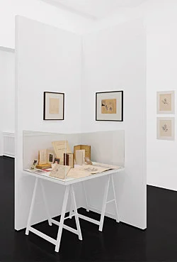 The Adroit Princess curated by Jelena Kristic exhibition design Mathias Poledna — Marie Laurencin — Exhibitions — Galerie Buchholz — Image 39