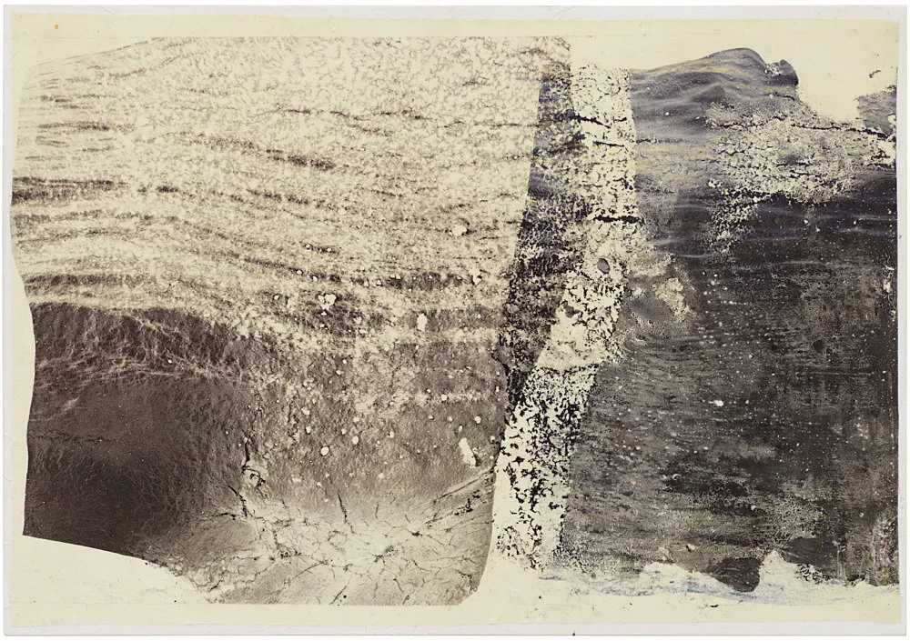 Dryad — Stewart Uoo — Exhibitions — Galerie Buchholz — Image 00