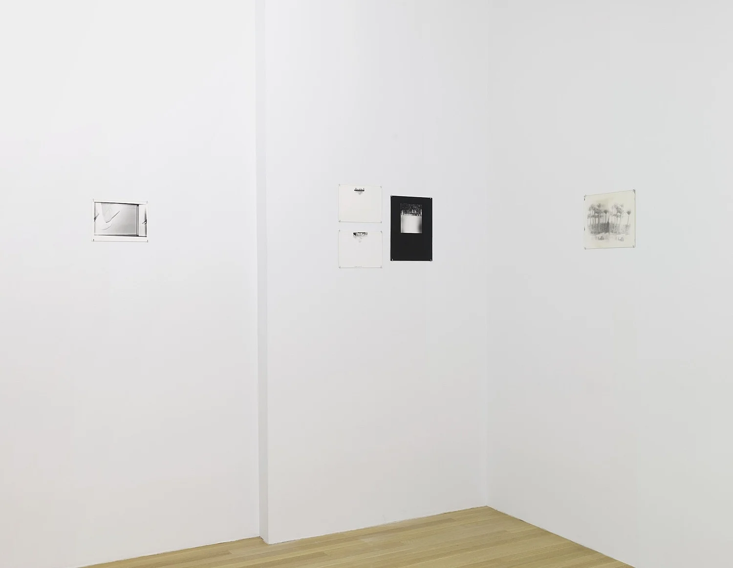 ForksampSpoonscuratedbymd — Moyra DaveyJustine KurlandShala MillerAlix Cléo RoubaudCarla WilliamsFrancesca Woodman — Exhibitions — Galerie Buchholz — Image 26
