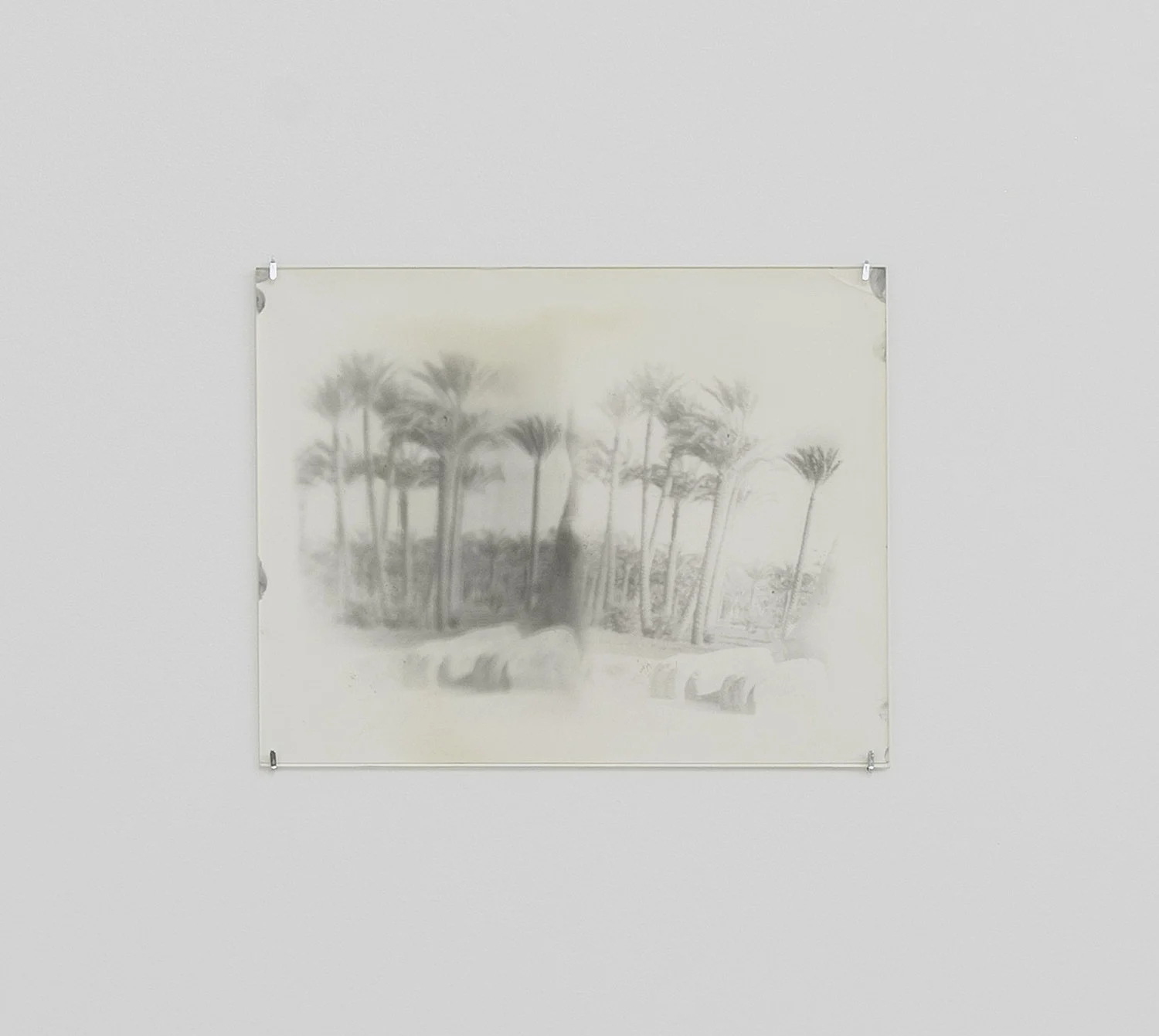 ForksampSpoonscuratedbymd — Moyra DaveyJustine KurlandShala MillerAlix Cléo RoubaudCarla WilliamsFrancesca Woodman — Exhibitions — Galerie Buchholz — Image 27