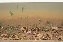 Summer Storm Rain Drops Freeze Frame — Wolfgang Tillmans — Exhibitions — Galerie Buchholz — Image 66