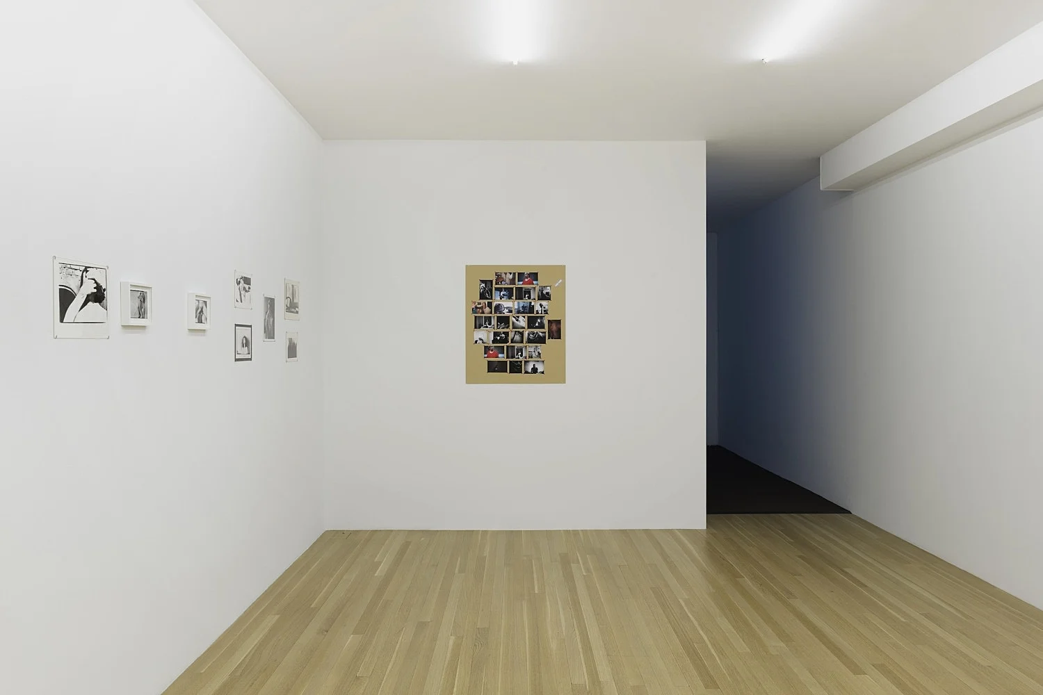 ForksampSpoonscuratedbymd — Moyra DaveyJustine KurlandShala MillerAlix Cléo RoubaudCarla WilliamsFrancesca Woodman — Exhibitions — Galerie Buchholz — Image 06