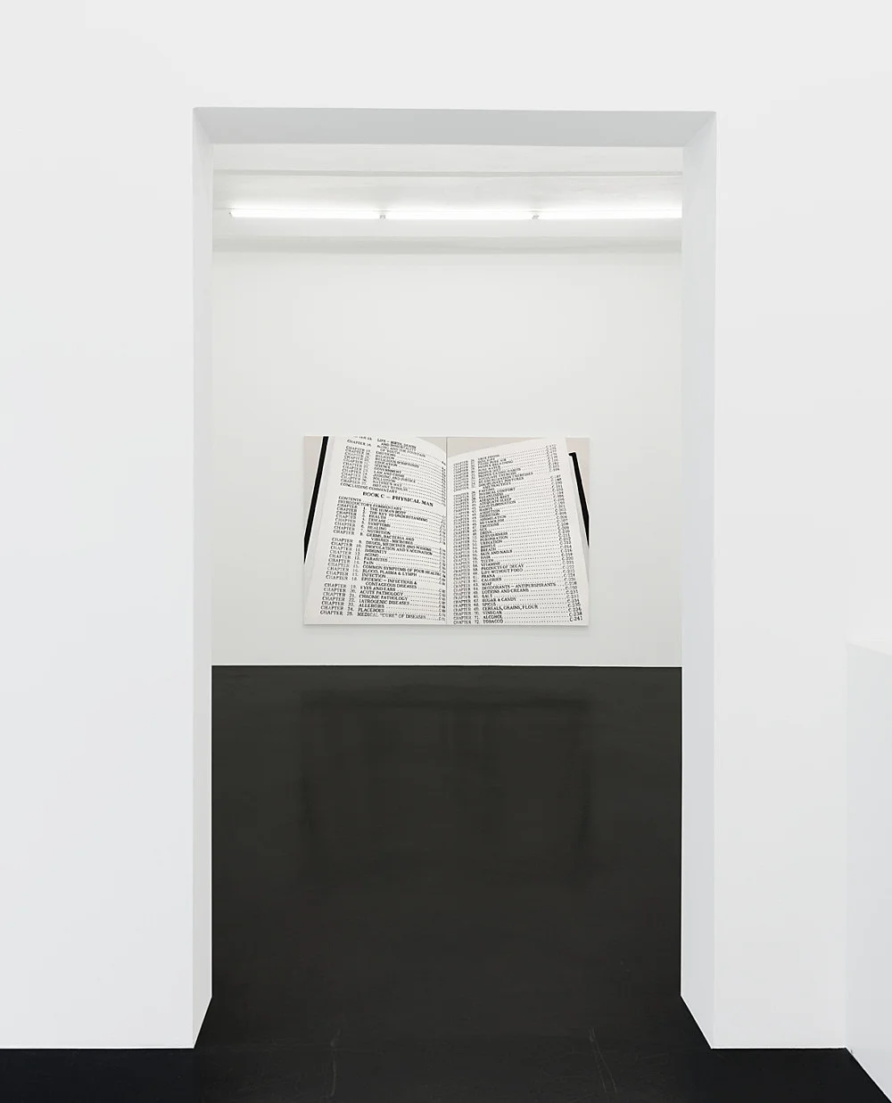 Orders to Kill — Frances Stark — Exhibitions — Galerie Buchholz — Image 04