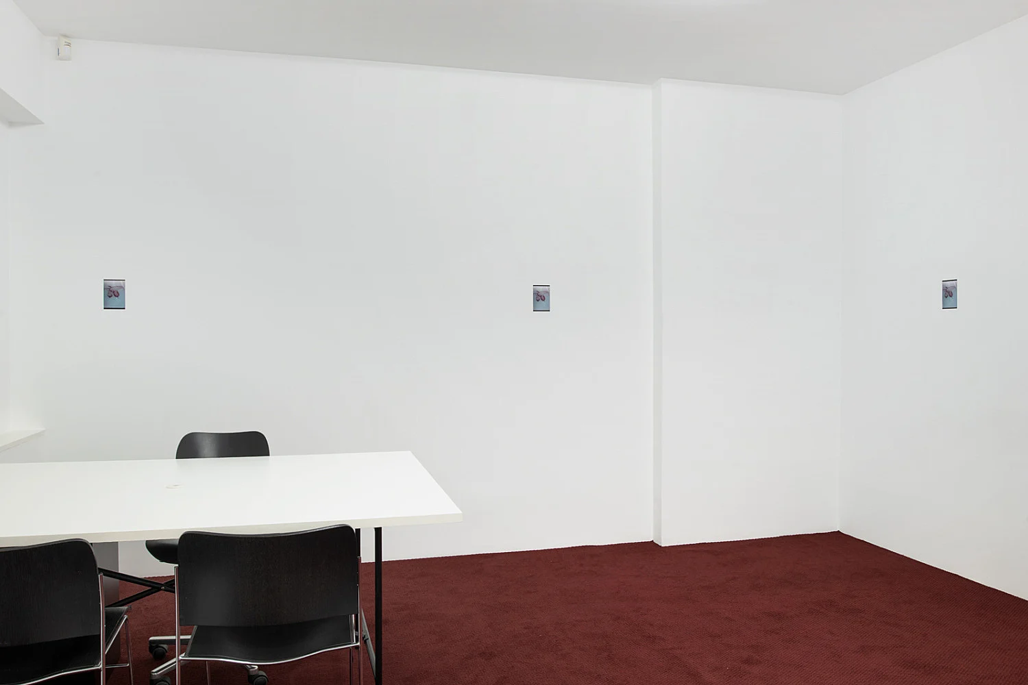 Eurostar — Samuel Hindolo — Exhibitions — Galerie Buchholz — Image 35