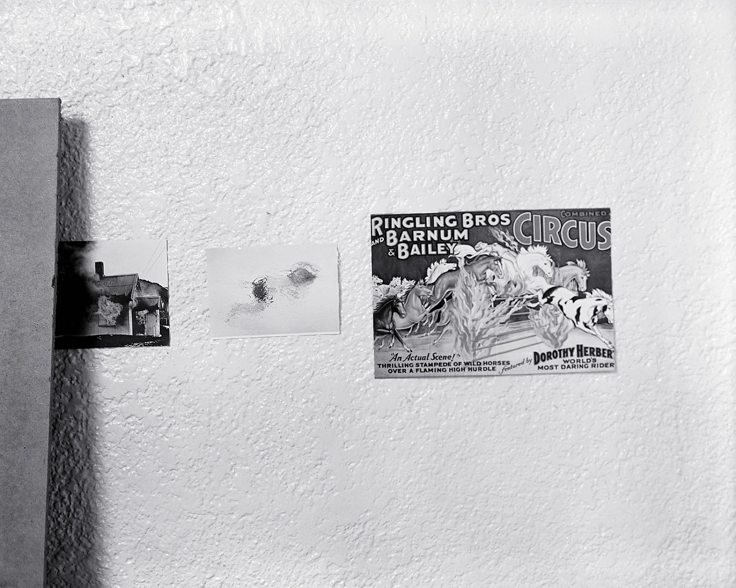 Jack Goldstein Galerie Buchholz New York 2024 — Jack Goldstein — Exhibitions — Galerie Buchholz — Image 18