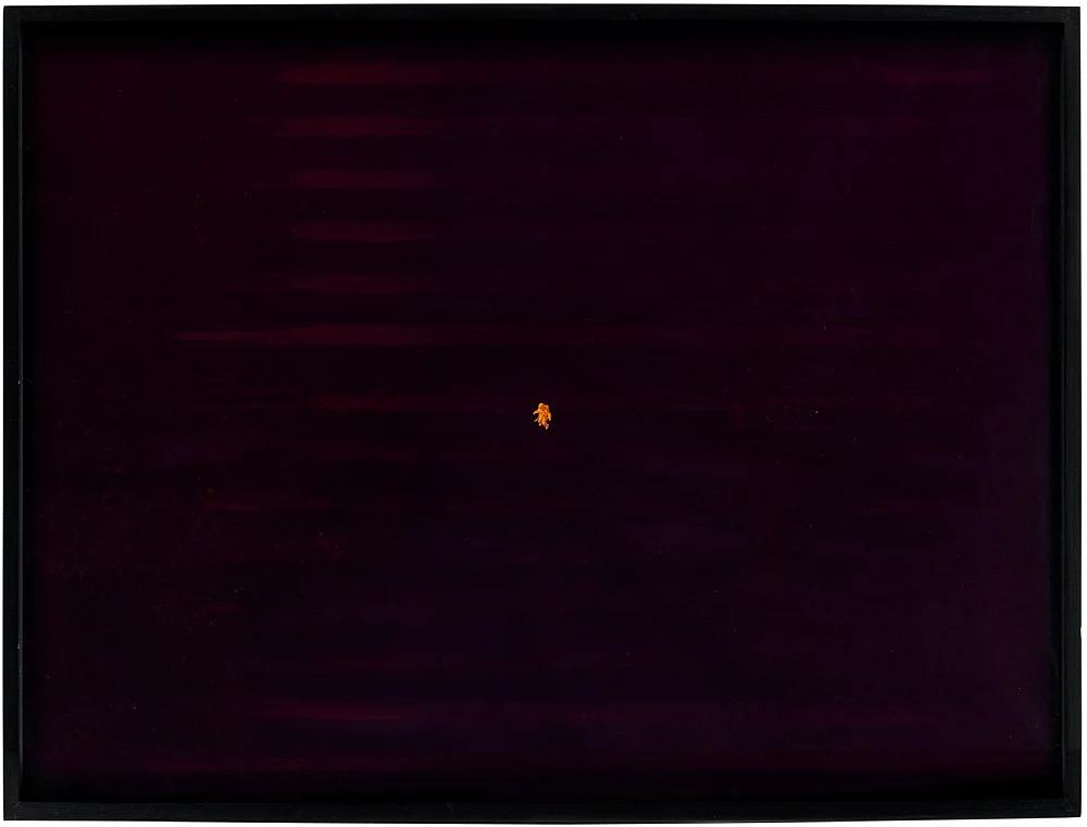 Jack Goldstein Galerie Buchholz New York 2024 — Jack Goldstein — Exhibitions — Galerie Buchholz — Image 00