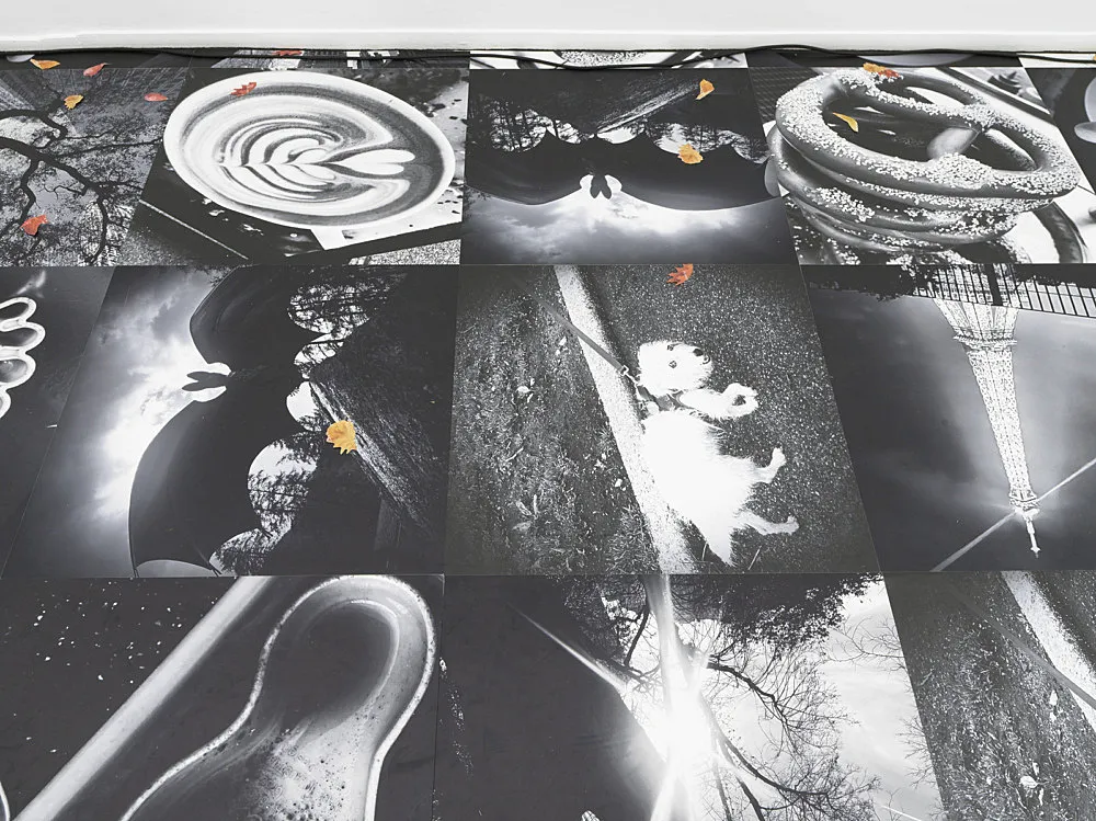 Autumn on Everything — Peter Fischli Gili Tal — Exhibitions — Galerie Buchholz — Image 00