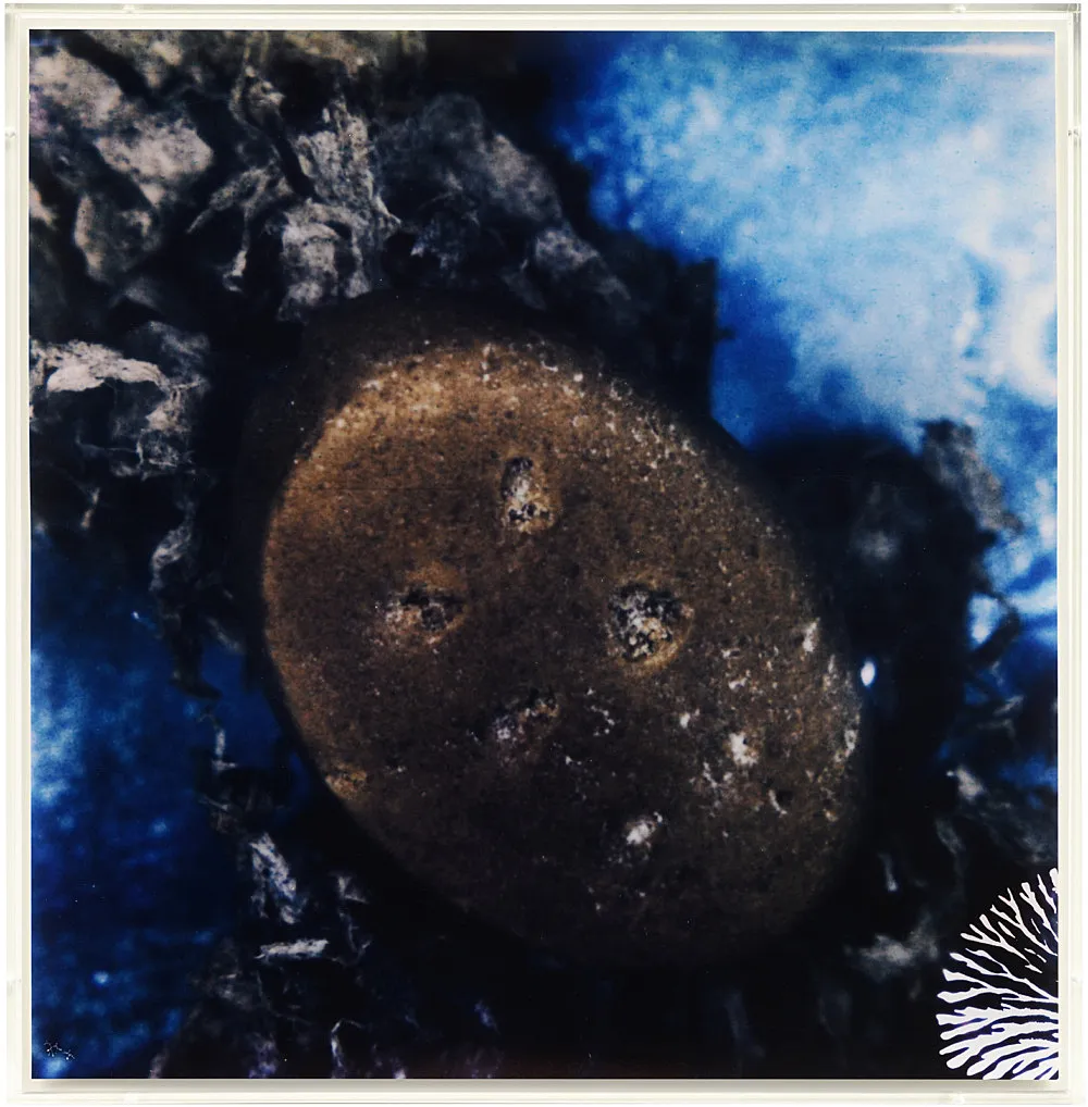 Teiku — Yair Oelbaum — Exhibitions — Galerie Buchholz — Image 18