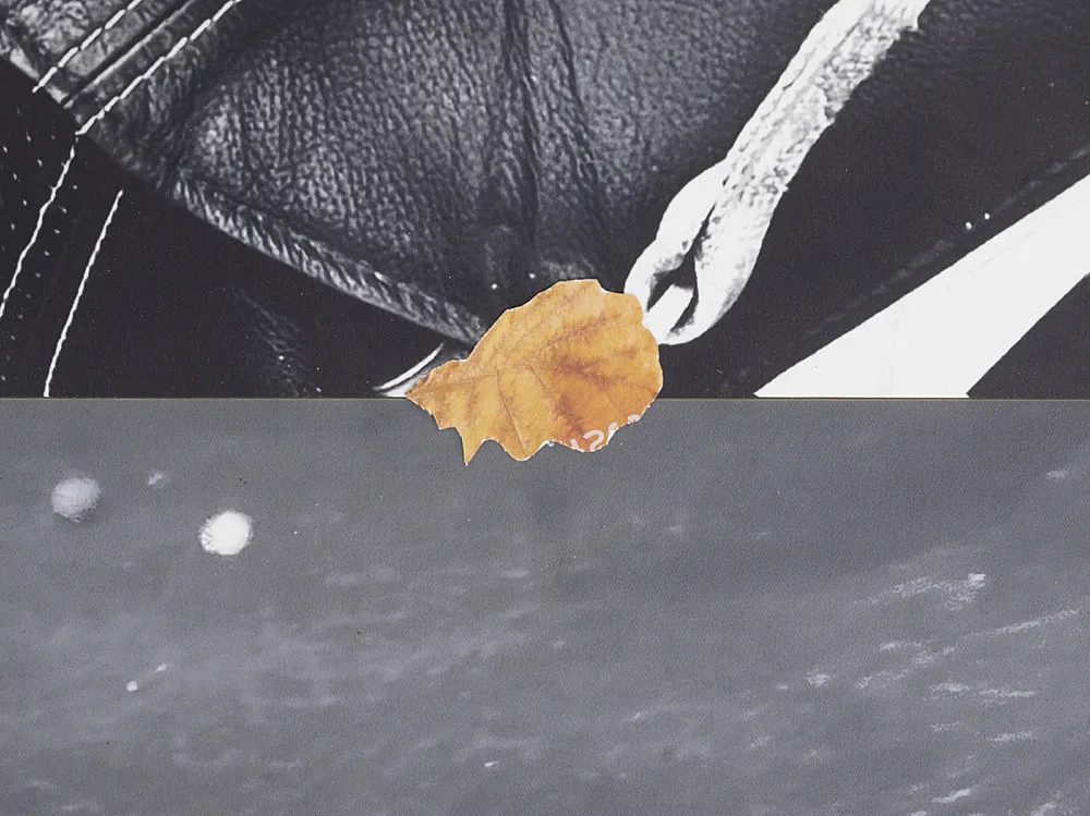 Autumn on Everything — Peter Fischli Gili Tal — Exhibitions — Galerie Buchholz — Image 00