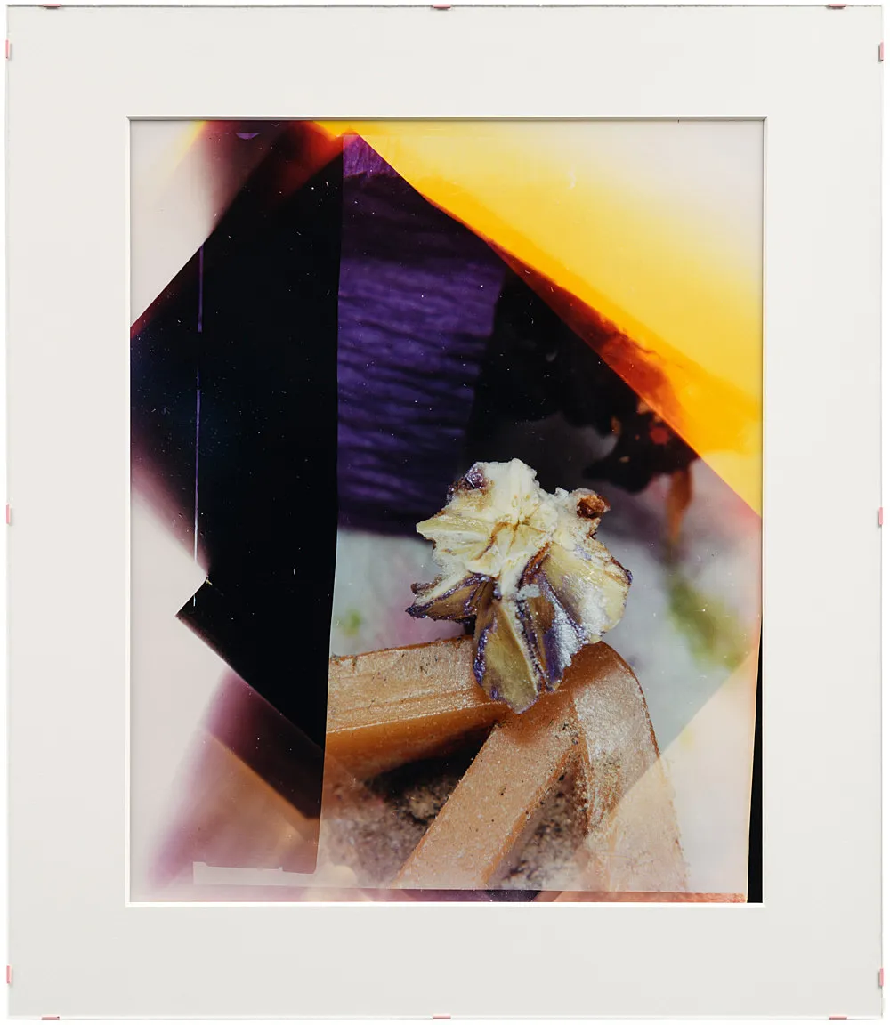 Teiku — Yair Oelbaum — Exhibitions — Galerie Buchholz — Image 24
