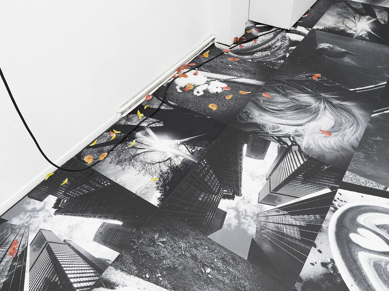 AutumnonEverything — Peter FischliGili Tal — Exhibitions — Galerie Buchholz — Image 21