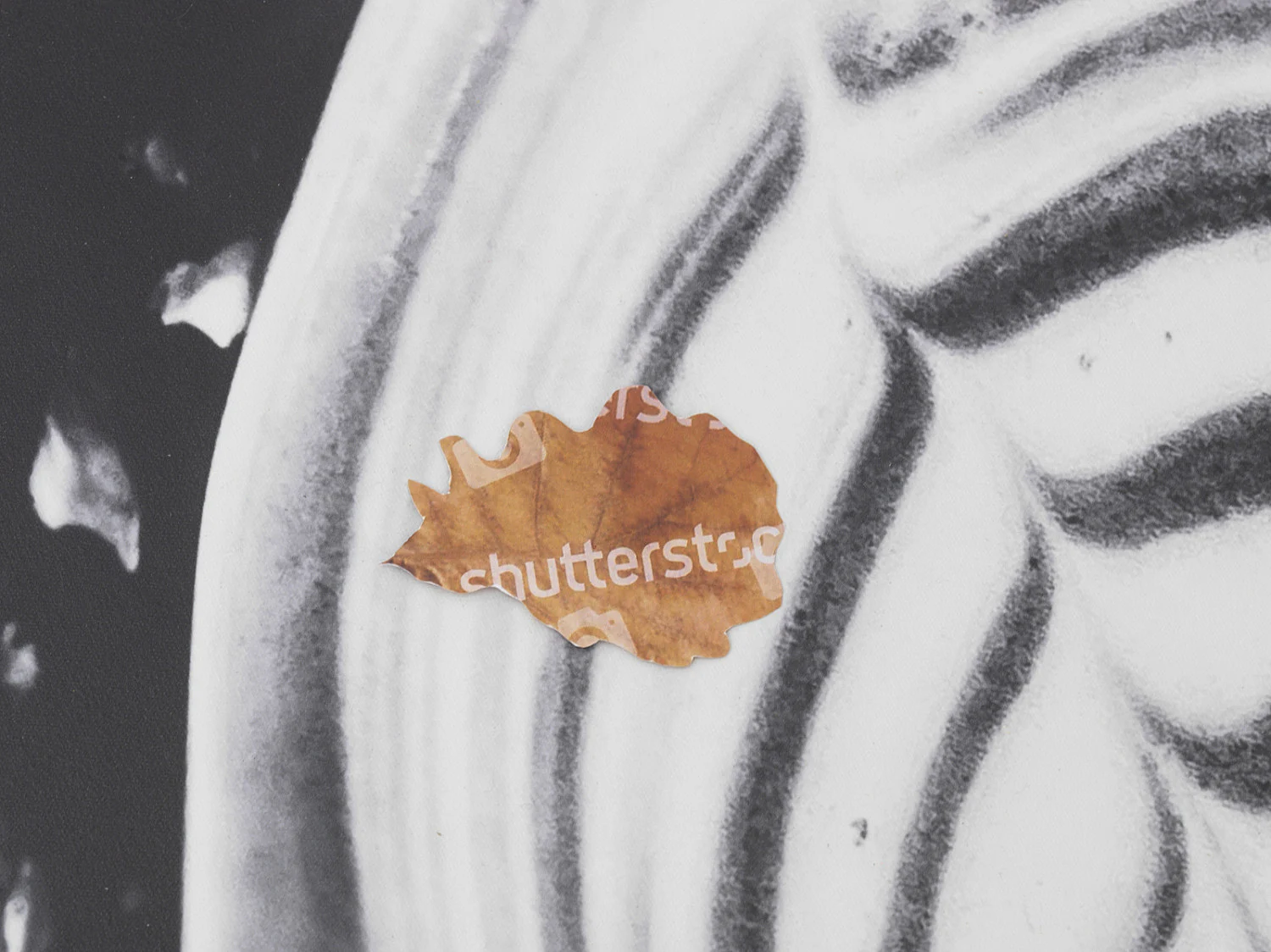 AutumnonEverything — Peter FischliGili Tal — Exhibitions — Galerie Buchholz — Image 28