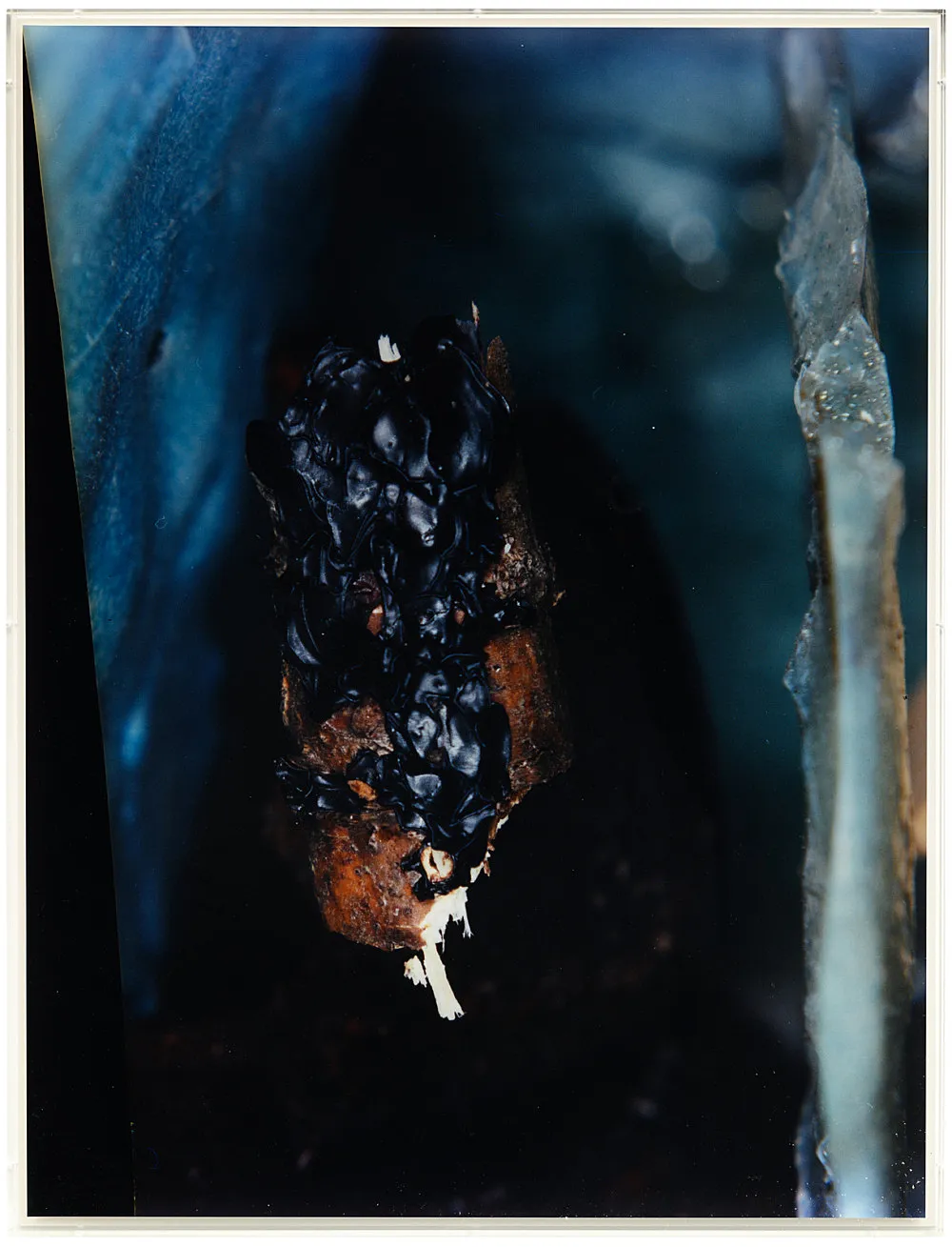 Teiku — Yair Oelbaum — Exhibitions — Galerie Buchholz — Image 35