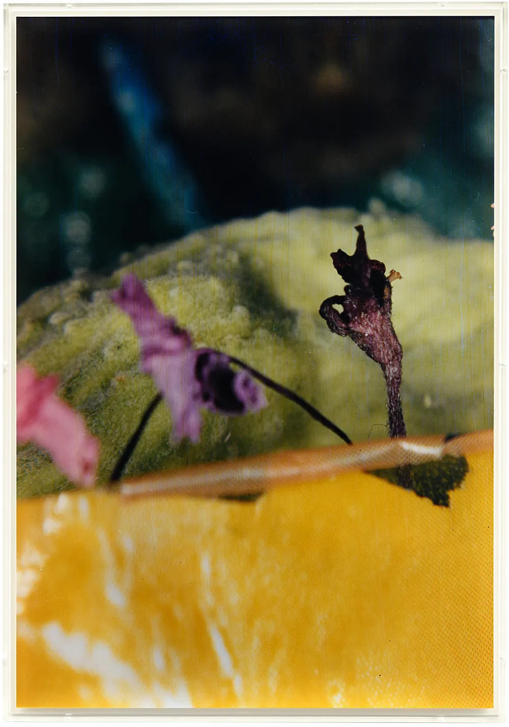 Teiku — Yair Oelbaum — Exhibitions — Galerie Buchholz — Image 05