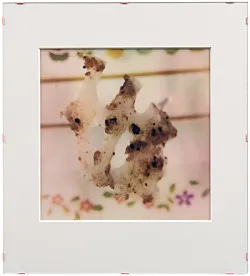 Teiku — Yair Oelbaum — Exhibitions — Galerie Buchholz — Image 85