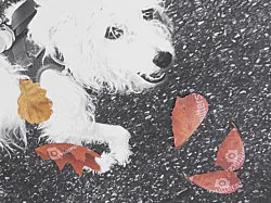 Autumn on Everything — Peter Fischli Gili Tal — Exhibitions — Galerie Buchholz — Image 32