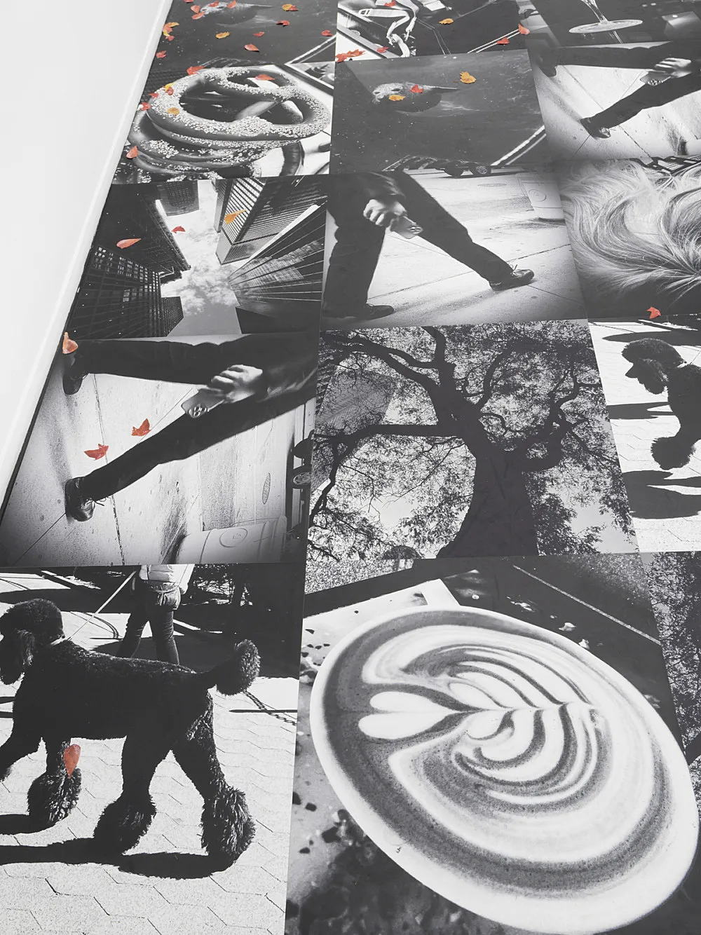 Autumn on Everything — Peter Fischli Gili Tal — Exhibitions — Galerie Buchholz — Image 07