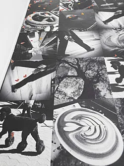 Autumn on Everything — Peter Fischli Gili Tal — Exhibitions — Galerie Buchholz — Image 33