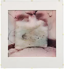 Teiku — Yair Oelbaum — Exhibitions — Galerie Buchholz — Image 59