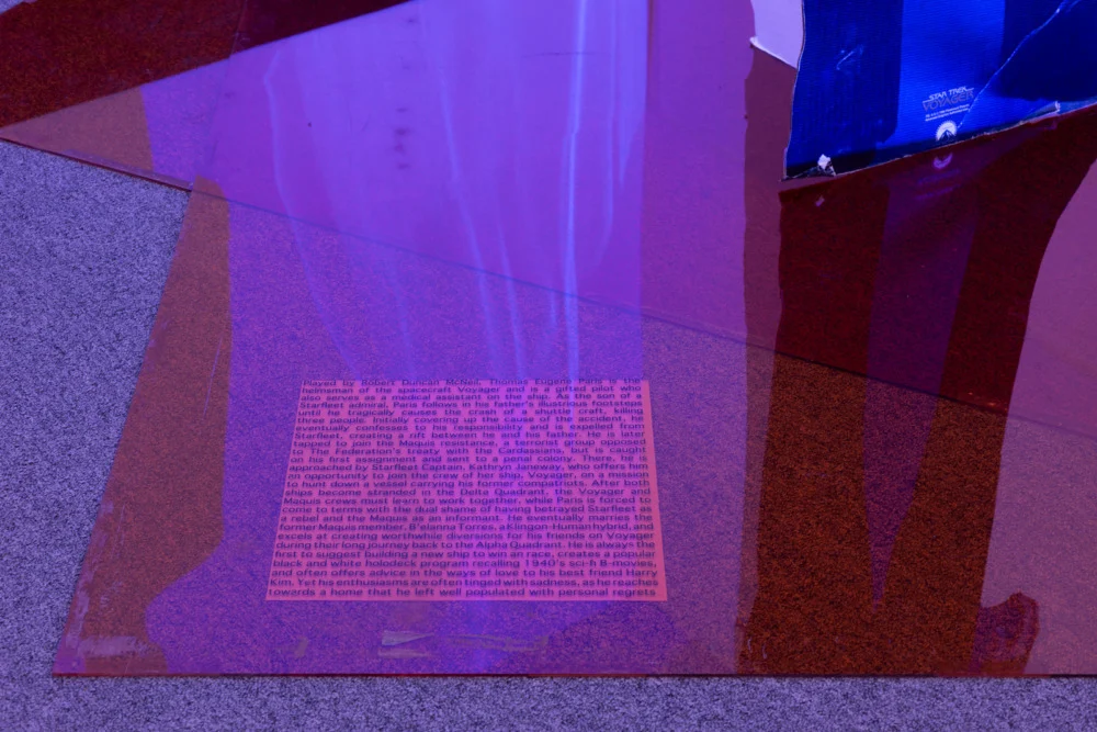 Into the Dimensional Corridor — Lutz Bacher — Exhibitions — Galerie Buchholz — Image 00