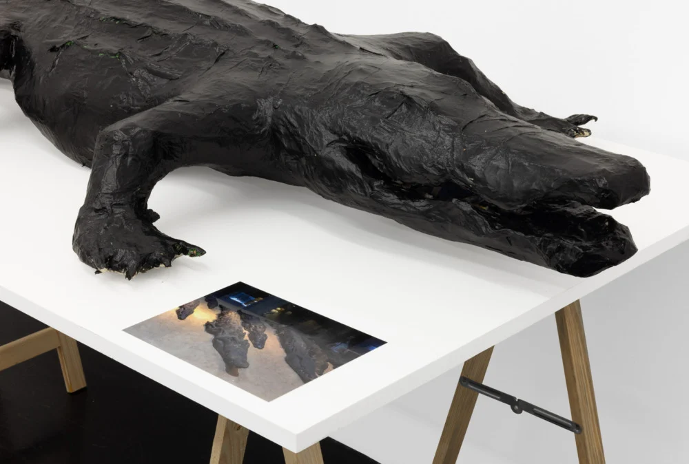 Food chain incl. prehistoric animals — Henrik Olesen — Exhibitions — Galerie Buchholz — Image 00