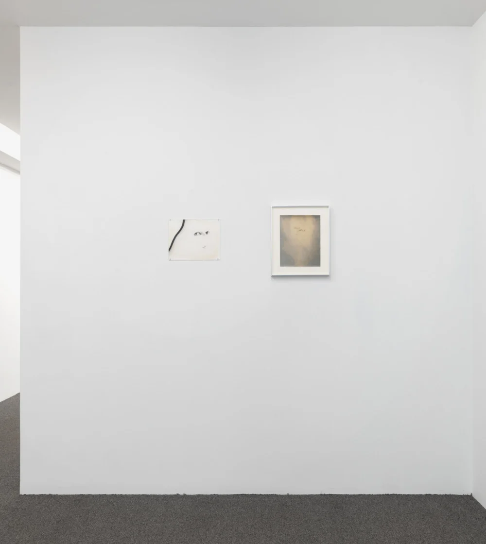 Correction of perspective in my bedroom — Alix Cléo Roubaud — Exhibitions — Galerie Buchholz — Image 17