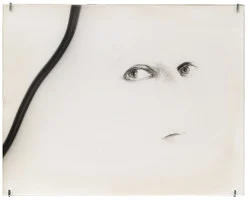 Correction of perspective in my bedroom — Alix Cléo Roubaud — Exhibitions — Galerie Buchholz — Image 81