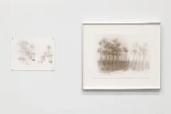 Correction of perspective in my bedroom — Alix Cléo Roubaud — Exhibitions — Galerie Buchholz — Image 85