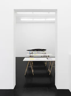 Food chain incl. prehistoric animals — Henrik Olesen — Exhibitions — Galerie Buchholz — Image 62