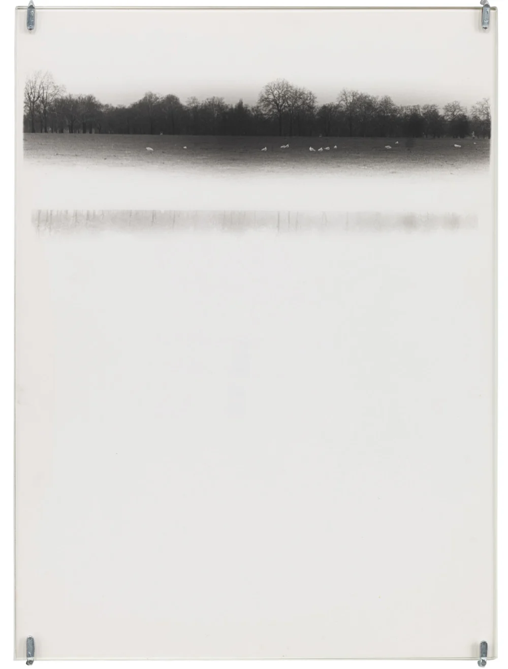 Correctionofperspectiveinmybedroom — Alix Cléo Roubaud — Exhibitions — Galerie Buchholz — Image 48