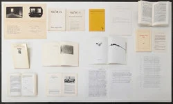 Correction of perspective in my bedroom — Alix Cléo Roubaud — Exhibitions — Galerie Buchholz — Image 129