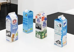 Food chain incl. prehistoric animals — Henrik Olesen — Exhibitions — Galerie Buchholz — Image 71