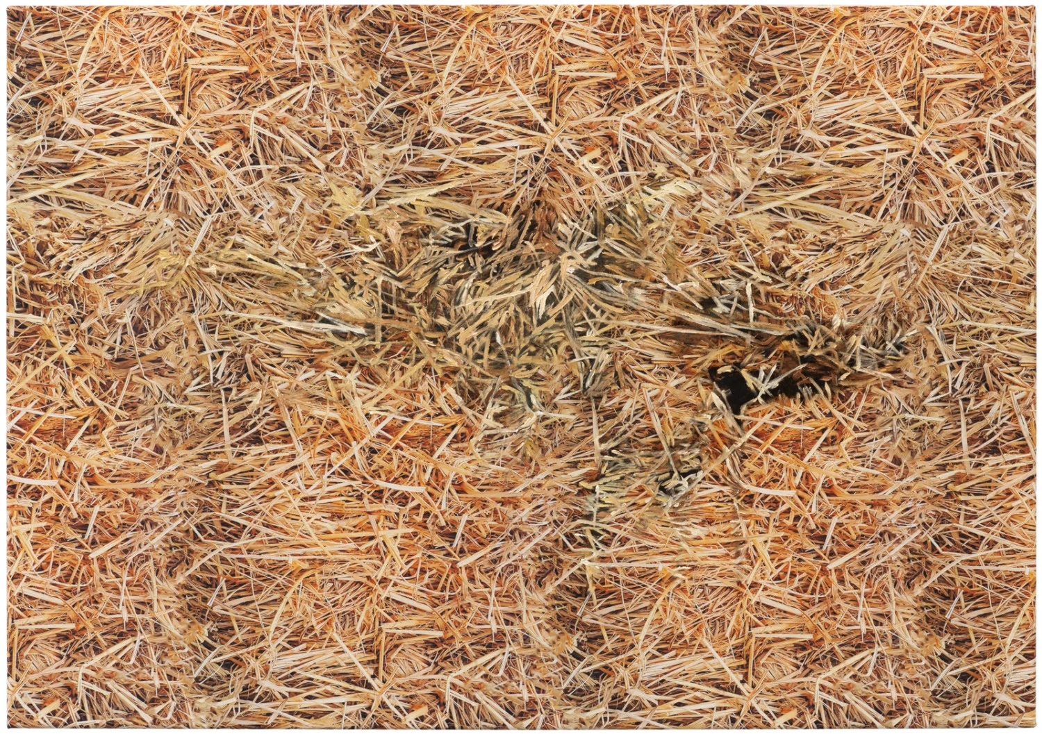 Bottleneck — Vera Palme — Exhibitions — Galerie Buchholz — Image 05