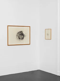 Angeldust — Michael Krebber — Exhibitions — Galerie Buchholz — Image 61