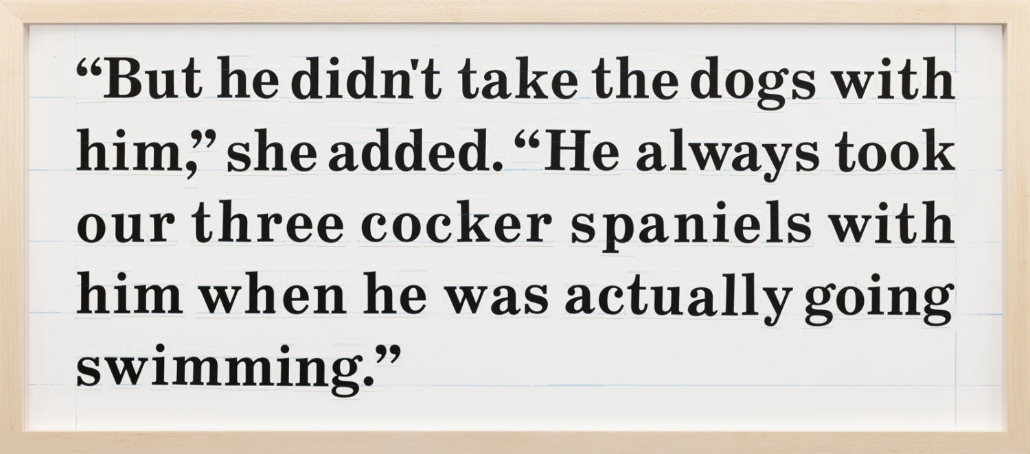 Larry Johnson - Galerie Köln 2026 — Larry Johnson — Exhibitions — Galerie Buchholz — Image 13