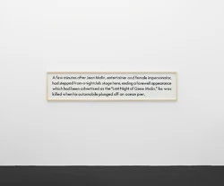 Larry Johnson - Galerie Köln 2026 — Larry Johnson — Exhibitions — Galerie Buchholz — Image 34