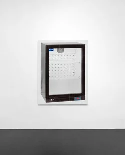 Soft and Bouncy — Gili Tal — Exhibitions — Galerie Buchholz — Image 30