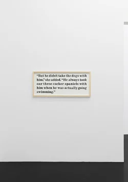 Larry Johnson - Galerie Köln 2026 — Larry Johnson — Exhibitions — Galerie Buchholz — Image 32