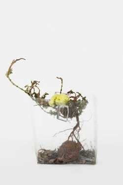 Zip 01-01-2024 12-31-2024 — Yuji Agematsu — Exhibitions — Galerie Buchholz — Image 93