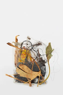 Zip 01-01-2024 12-31-2024 — Yuji Agematsu — Exhibitions — Galerie Buchholz — Image 96