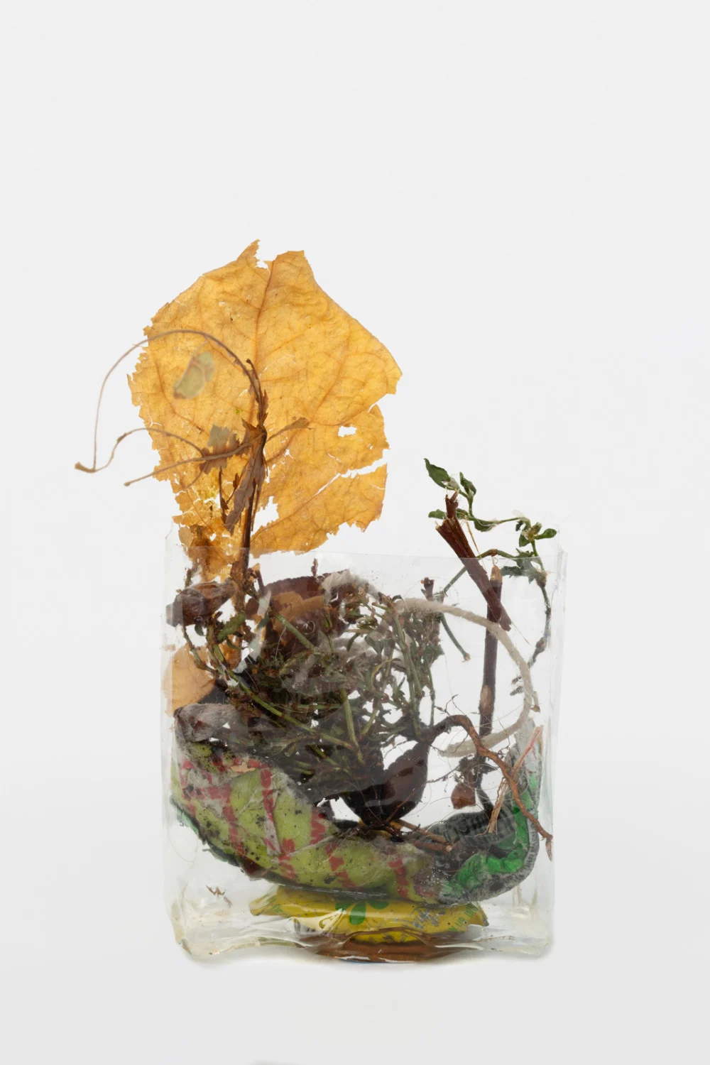 Zip 01-01-2024 12-31-2024 — Yuji Agematsu — Exhibitions — Galerie Buchholz — Image 25