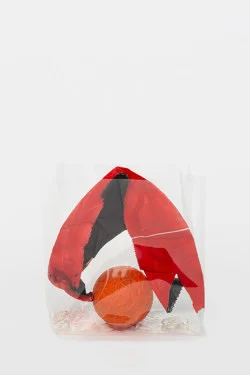 Zip 01-01-2024 12-31-2024 — Yuji Agematsu — Exhibitions — Galerie Buchholz — Image 150
