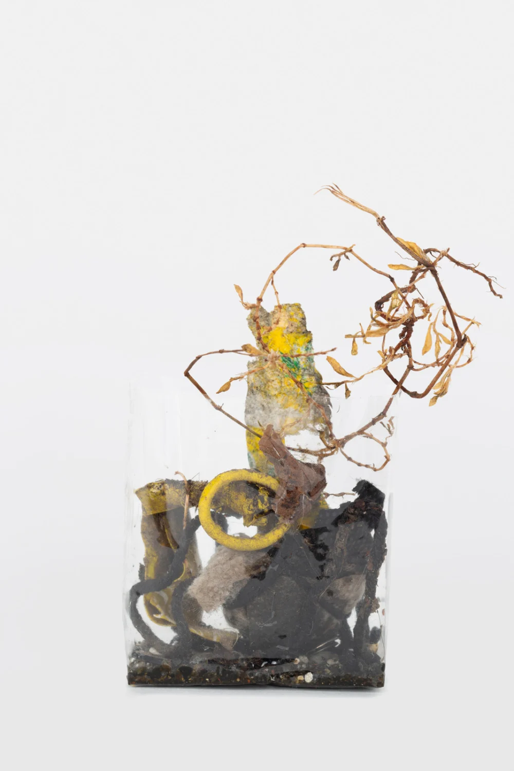 Zip 01-01-2024 12-31-2024 — Yuji Agematsu — Exhibitions — Galerie Buchholz — Image 34