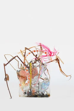 Zip 01-01-2024 12-31-2024 — Yuji Agematsu — Exhibitions — Galerie Buchholz — Image 124