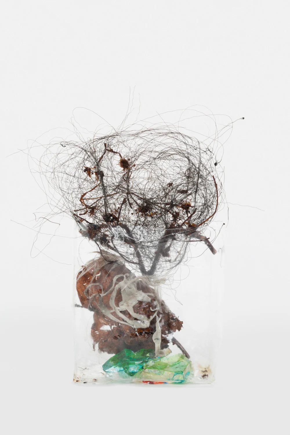Zip 01-01-2024 12-31-2024 — Yuji Agematsu — Exhibitions — Galerie Buchholz — Image 55