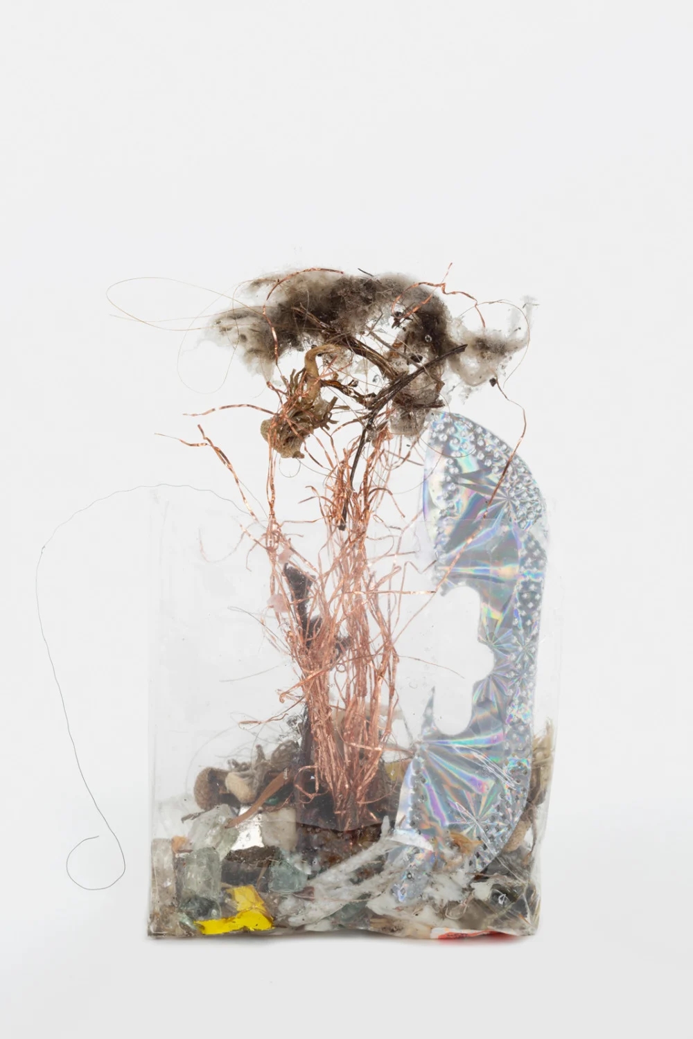Zip 01-01-2024 12-31-2024 — Yuji Agematsu — Exhibitions — Galerie Buchholz — Image 61