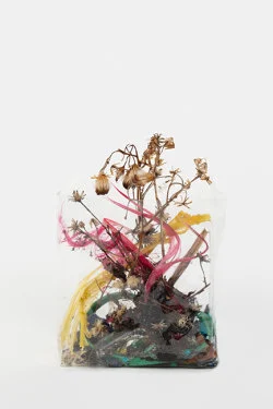 Zip 01-01-2024 12-31-2024 — Yuji Agematsu — Exhibitions — Galerie Buchholz — Image 158